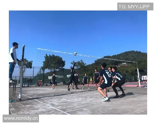 深圳排球队的拼搏之路:世锦赛背后的奋斗与荣耀